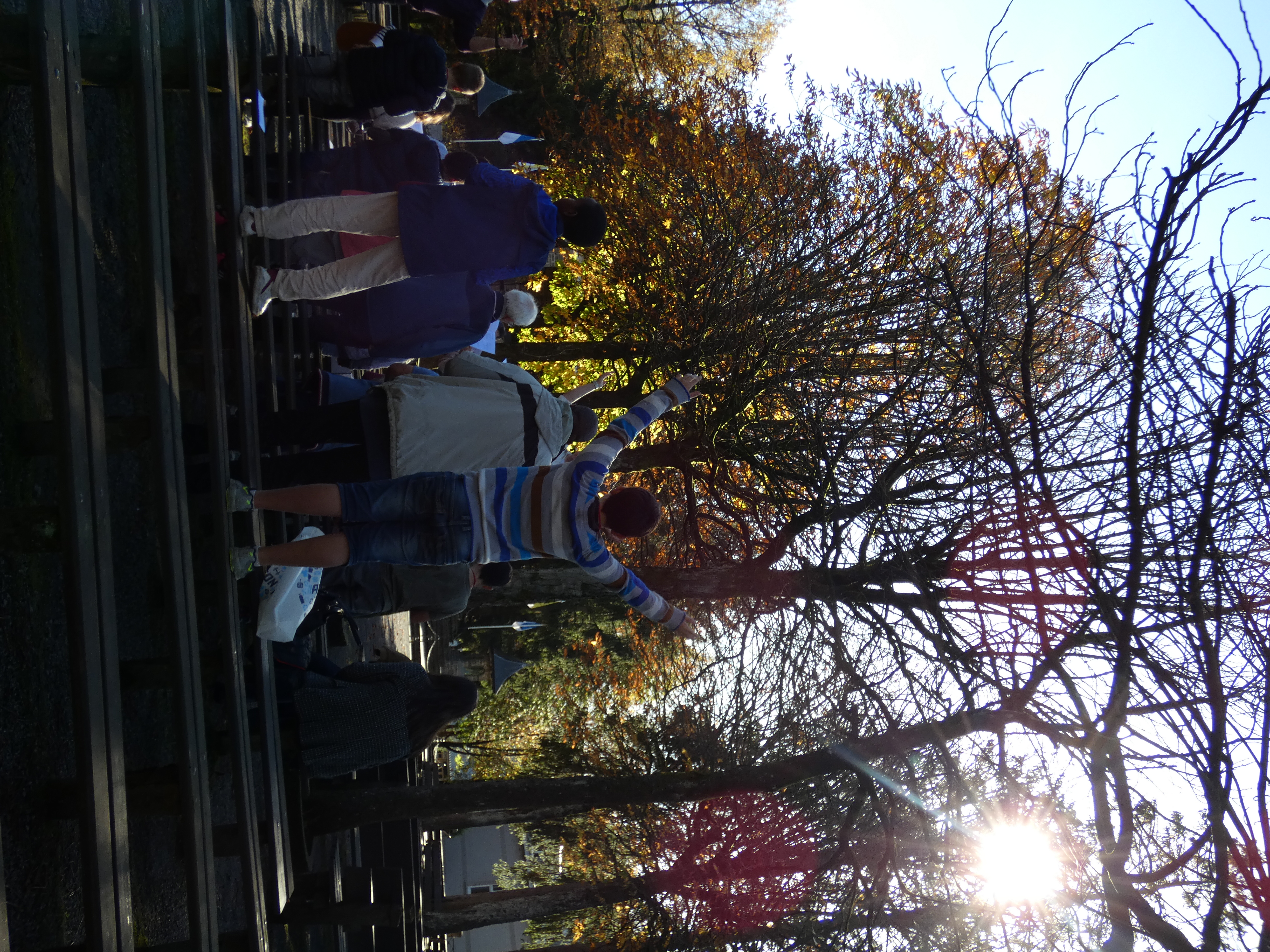 Bild 14