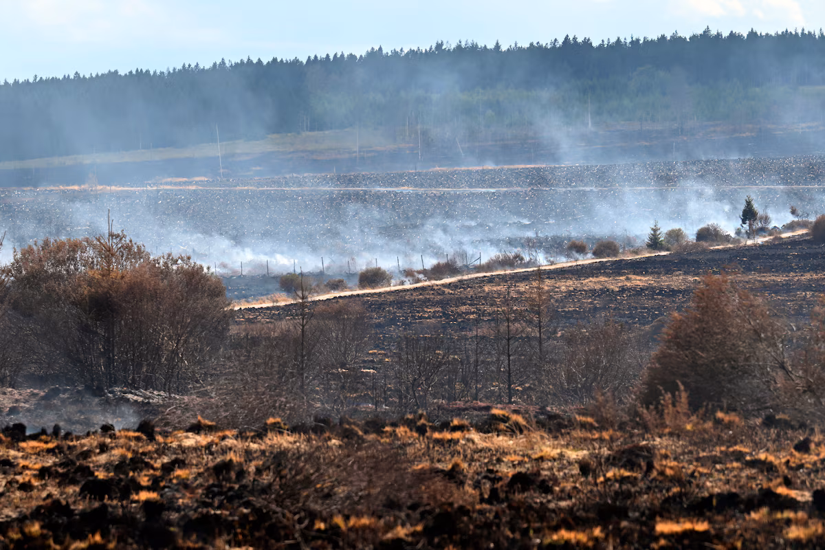 L'incendie dans les Hautes Fagnes, en août 2026